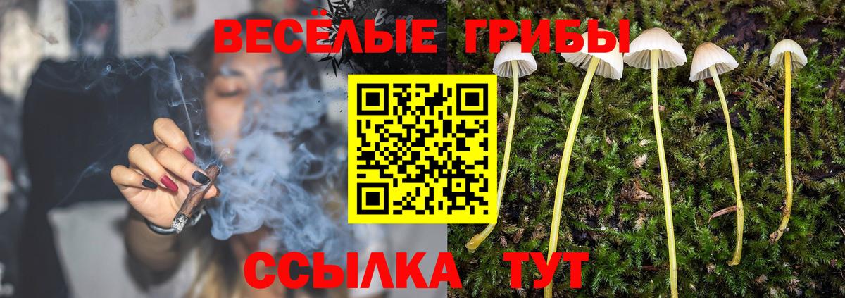 Псилоцибиновые грибы прущие грибы Рузаевка